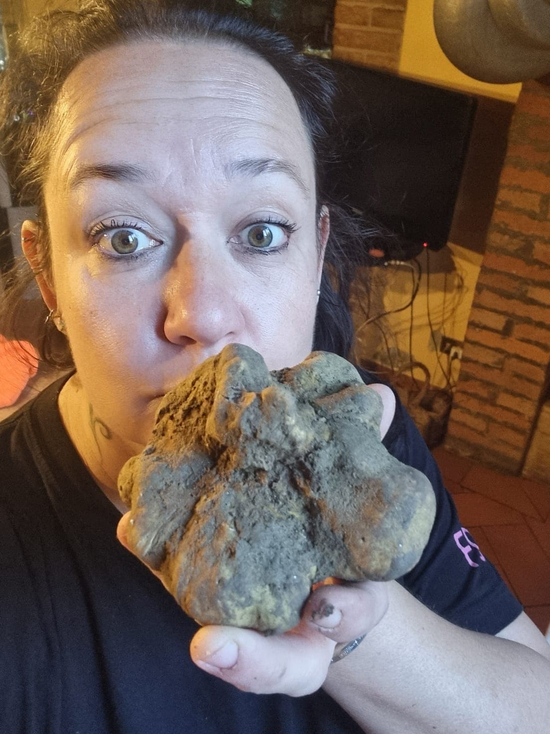White truffle freshly found in the woods near San Miniato, Tuscany