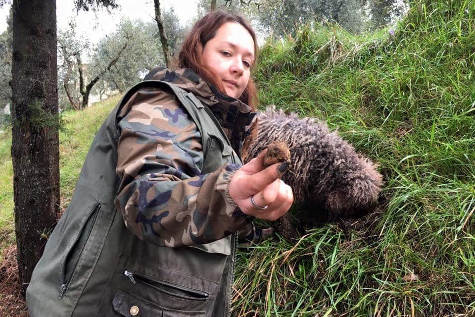 Francesca holding her Lagotto Romagnolo truffle dog in the woods of San Miniato, Tuscany