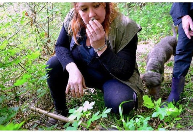 San Miniato truffle hunting experience with Francesca