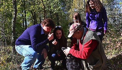 Group of people smelling the just found truffle during a truffle hunt with expert hunter and trained dog