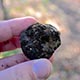 truffle hunting trip italy