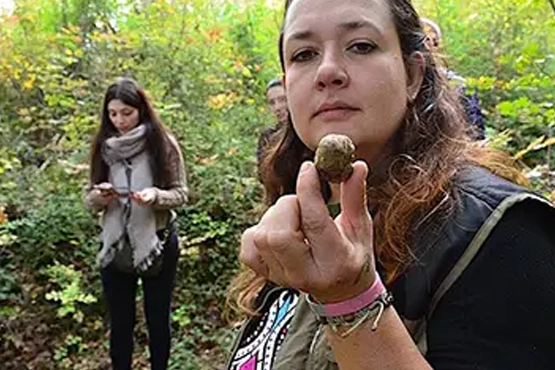 Group of young people truffle hunting in the Tuscan woods before a truffle and wine tasting