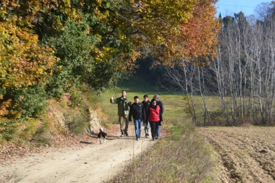 Truffle walking in the woods around San Miniato