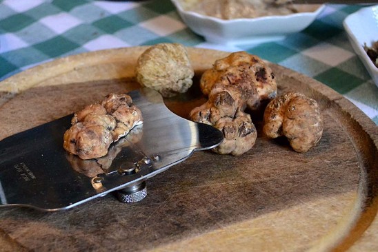 Truffle Cooking Class in Tuscany