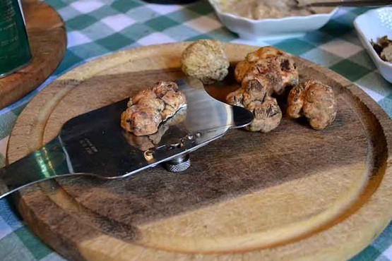 Truffle Cooking Class in Tuscany