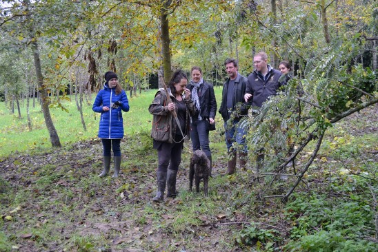 A real truffle hunting in San Miniato